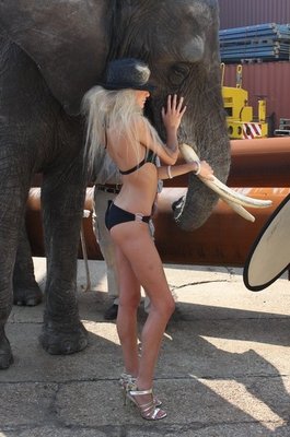 Annelien Coorevits 9